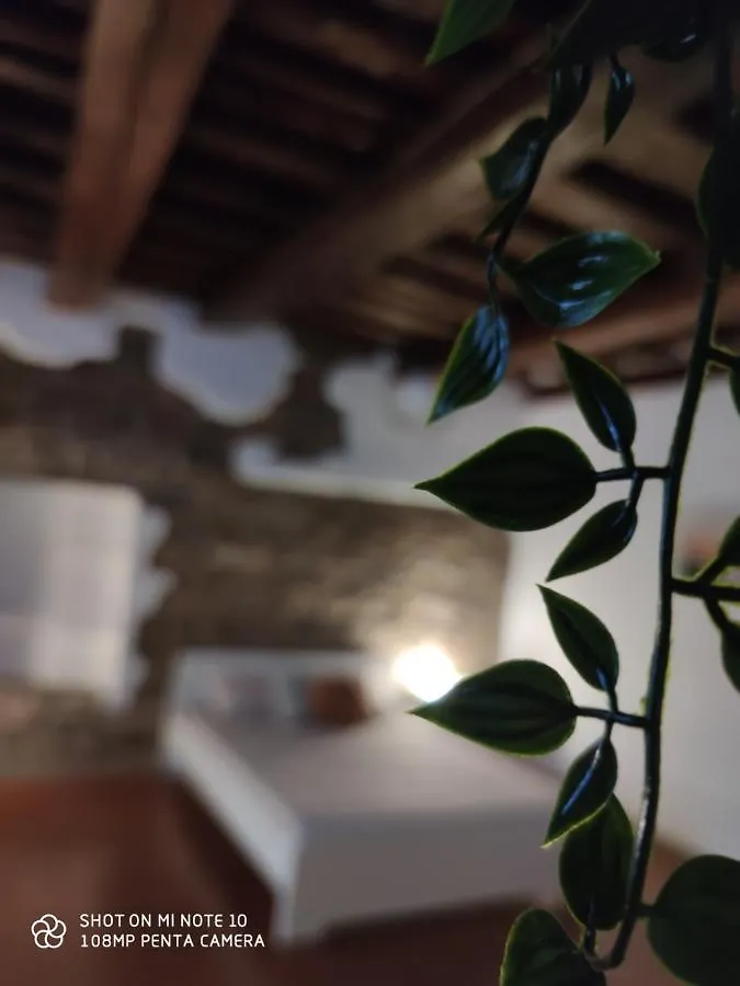 Dante'S Room Dei Cerchi フィレンツェ イタリア